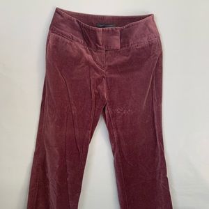 Express Velvet Editor Pants